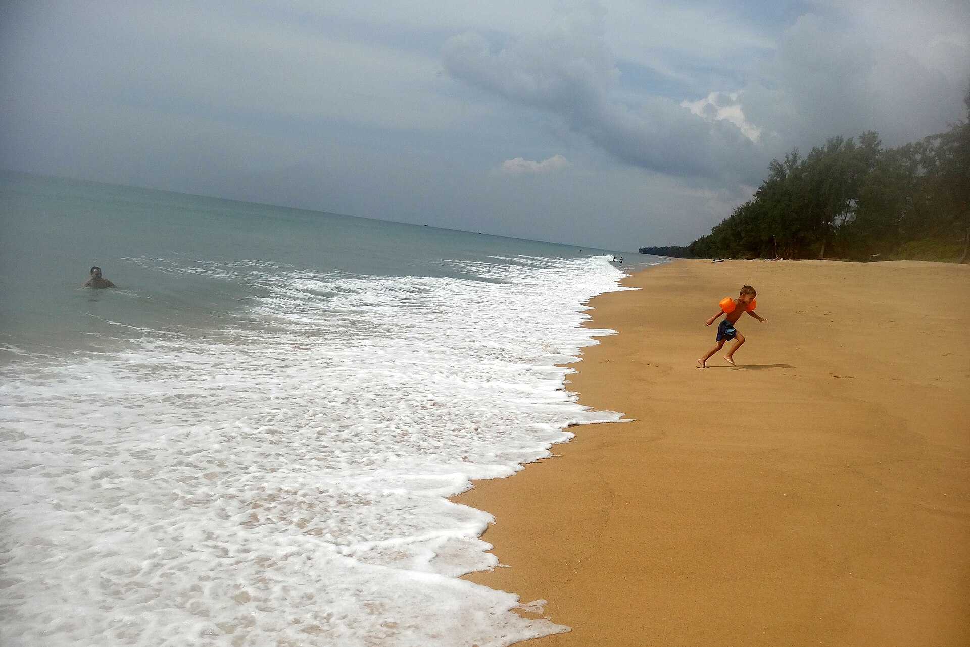 Casuarina trees along Mai Khao Beach